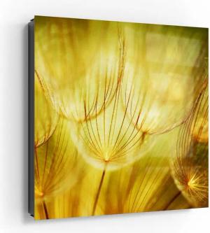 DEQORI Schlüsselkasten 'Goldener Hauch', Glas Schlüsselbox modern magnetisch beschreibbar