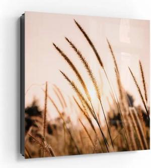 DEQORI Schlüsselkasten 'Goldenes Abendgras', Glas Schlüsselbox modern magnetisch beschreibbar