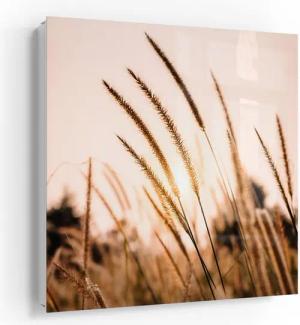 DEQORI Schlüsselkasten 'Goldenes Abendgras', Glas Schlüsselbox modern magnetisch beschreibbar