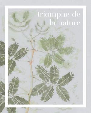Komar Poster Triomphe de la nature Spruch B/L: ca. 40x50 cm