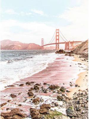 Komar Poster Golden Gate Brücke B/L: ca. 30x40 cm