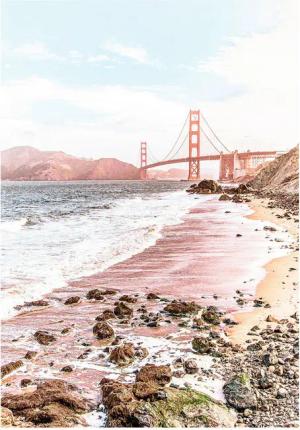 Komar Poster Golden Gate Brücke B/L: ca. 50x70 cm