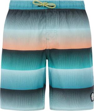 Protest - Ray Jr Badehose Jungen arcticgreen