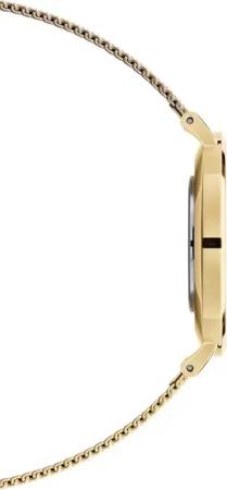 Daniel Wellington Uhr - Petite 36mm Watch Evergold - Gr. unisize - in Gold - für Damen