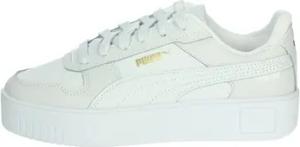 Puma  kinderschuhe 393846