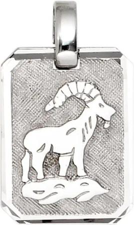 Schmuck Krone Kettenanhänger Anhänger Sternzeichen Steinbock aus 925 Silber, Silber 925