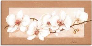 Artland Wandbild Orchideenzweig, Blumenbilder (1 St), als Alubild, Outdoorbild, Leinwandbild in verschied. Größen