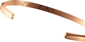 Daniel Wellington DW Classic Bracelet Tiger S Rose Gold