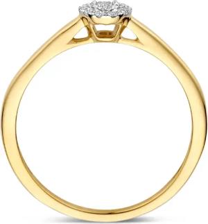 Blush Ring - Natural Diamonds 585 Gold Ring - Gr. 52 - in Gold - für Damen