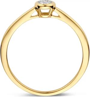 Blush Ring - Natural Diamonds 585 Gold Ring - Gr. 56 - in Gold - für Damen