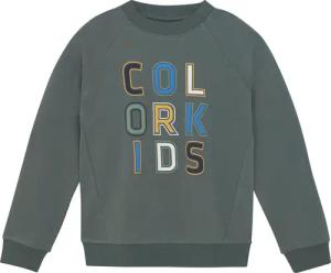 Color Kids Kinder Logo Print Pullover