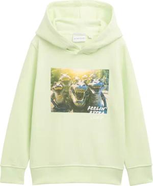 TOM TAILOR Jungen Hoodie Sweatshirt mit Print, grün, Uni, Gr. 128/134