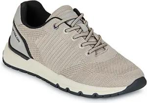 Tom Tailor  Sneaker ETTORE