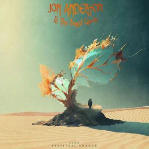 Live - Perpetual Change von Jon Anderson - 3-LP (Standard)