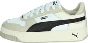Puma  Turnschuhe 389390