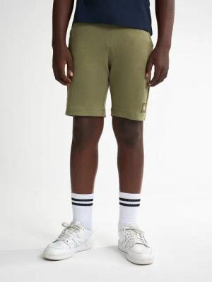 Petrol Industries Shorts Capri