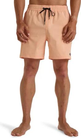 Billabong Boardshorts "Every Other Day"