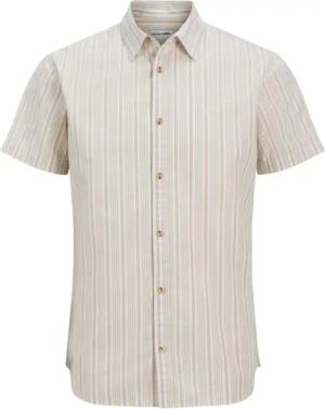 Jack & Jones Blusenshirt JJJOSHUA OXFORD STRIPE SHIRT S/S PL