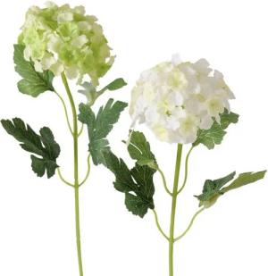 Trockenblume Dekozweig, BOLTZE GRUPPE GmbH
