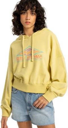 Billabong Hoodie All Time