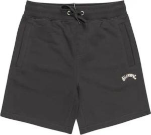 Billabong Bermudas Arch 15