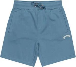 Billabong Bermudas Arch 15