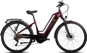 SAXONETTE E-Bike "Quantum Plus", 8 Gang, Shimano, Nexus, Mittelmotor 250 W, Pedelec, Elektrofahrrad für Damen u. Herren
