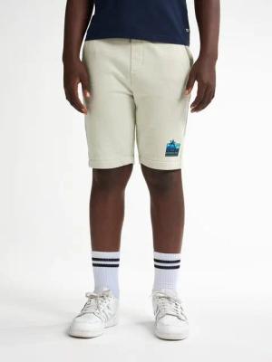 Petrol Industries Shorts Sapphire