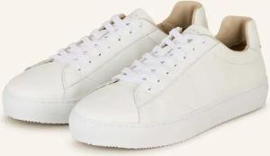 TOMMY HILFIGER Sneaker