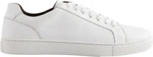 Next Lederturnschuhe Sneaker (1-tlg)