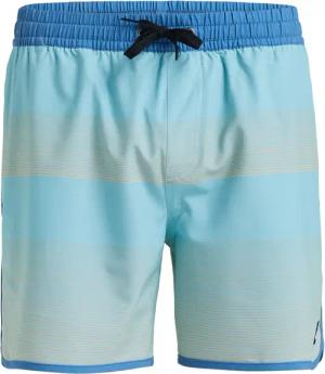 Quiksilver - Surfsilk Scallop Volley Badeshorts Herren acuifer tijuana