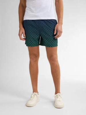 Petrol Industries Badeshorts Surfpoint
