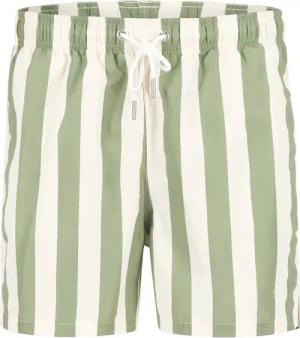 Gant Herren Badeshorts grün Gestreift