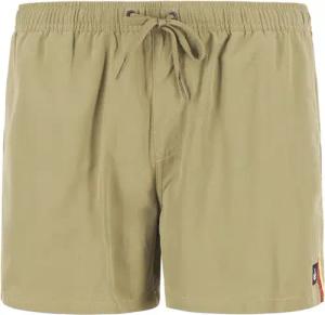 Quiksilver Herren Badeshorts grün