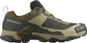 Salomon Herren X Ultra 5 GTX Schuhe