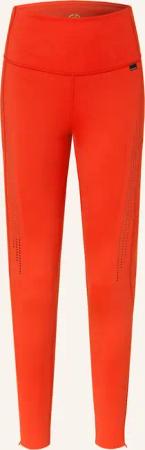 GOLDBERGH Tights JULIETTE