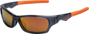 Nike Sonnenbrillen DZ7379-021