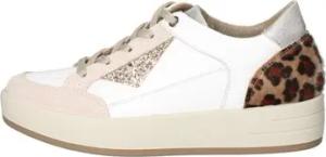IgI&CO Sneaker 7655155 Turnschuhe Frau