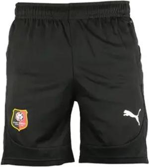 Puma Shorts 779361-11