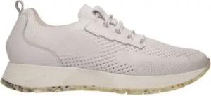 Salamander Sneaker Sneaker