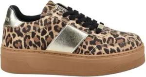 Steve Madden  Sneaker Sneaker