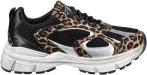 Steve Madden Sneaker Sneaker