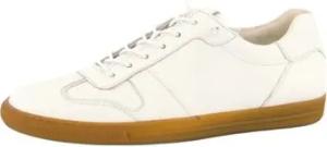 Paul Green Sneaker Sneaker