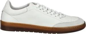 Pavement Sneaker Sneaker