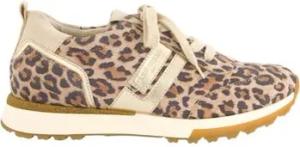 Paul Green Sneaker Sneaker