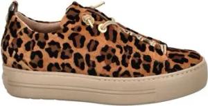 Paul Green Sneaker Sneaker