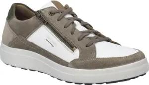 Josef Seibel Halbschuhe Schnuerschuhe 29307991/087
