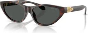 Versace  Sonnenbrillen Sonnenbrille VE4491U 108/87