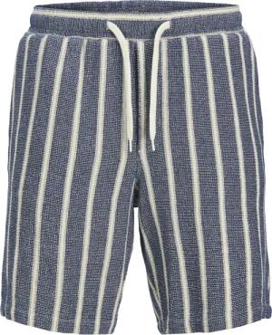 Jack & Jones Herren Short JPSTJAIDEN COBA STRIPE JOG SHORT- Regular Fit