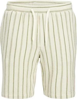 Jack & Jones Herren Short JPSTJAIDEN COBA STRIPE JOG SHORT- Regular Fit
